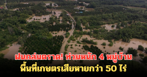 ฝนถล่มตราด! ท่วมหนัก 4 หมู่บ้านพื้นที่เกษตรเสียหายกว่า 50 ไร่