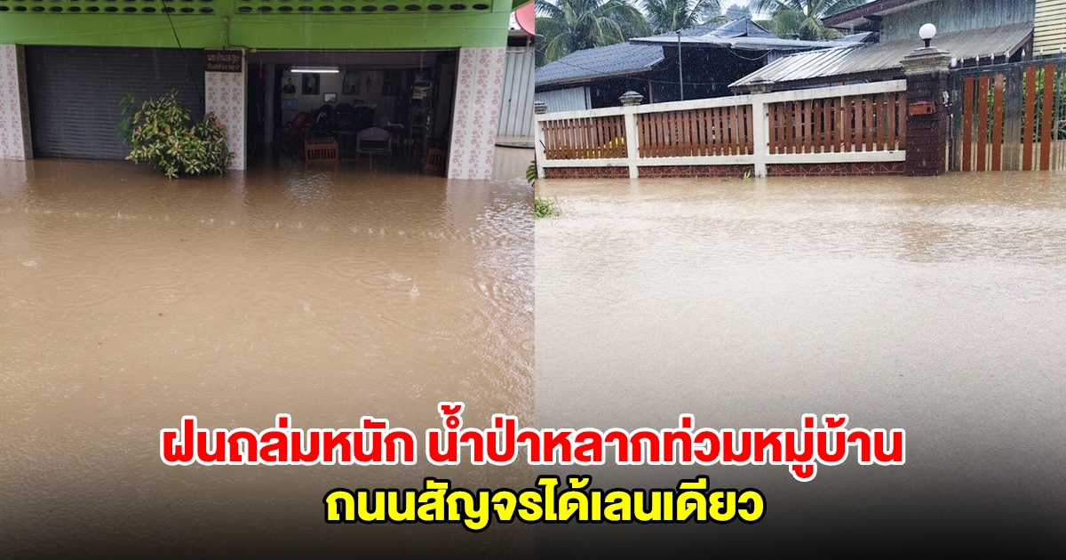 เชียงรายอ่วม ฝนถล่มหนัก น้ำป่าหลากท่วมหมู่บ้าน ถนนสัญจรได้เลนเดียว