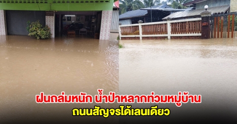 เชียงรายอ่วม ฝนถล่มหนัก น้ำป่าหลากท่วมหมู่บ้าน ถนนสัญจรได้เลนเดียว