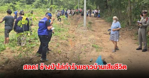 สลด! ช้างป่าภูหลวง ไล่ทำร้าย หนุ่มวัย34 รับจ้างกรีดยางเสียชีวิต