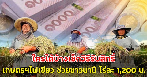 ข่าวดี!! เกษตรฯไฟเขียว ช่วยชาวนาปี ไร่ละ 1,200 บ.ใครได้บ้างเช็กวิธีรับสิทธิ์
