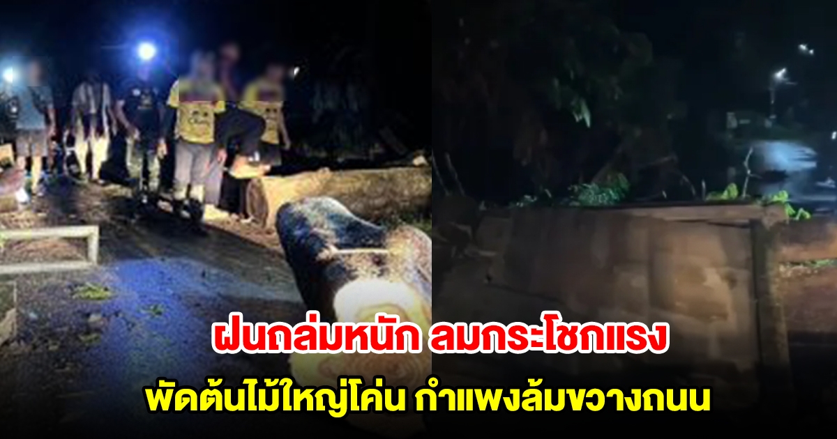 อิทธิฤทธิ์ พายุวิภา ฝนถล่มหนัก ลมกระโชกแรง พัดต้นไม้ใหญ่โค่น กำแพงล้มขวางถนน