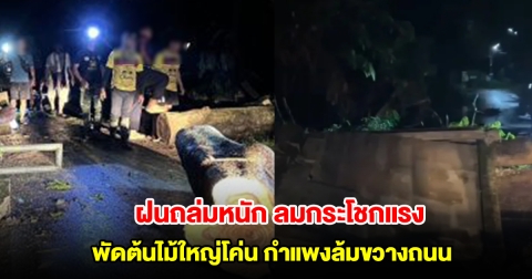 อิทธิฤทธิ์ พายุวิภา ฝนถล่มหนัก ลมกระโชกแรง พัดต้นไม้ใหญ่โค่น กำแพงล้มขวางถนน