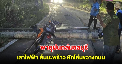 พายุฝนถล่มชลบุรี เสาไฟฟ้า ต้นมะพร้าว หักโค่นขวางถนน จนท.เร่งเคลียร์พื้นที่
