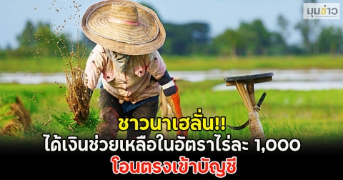 ชาวนาเฮลั่น!! ได้เงินช่วยเหลือในอัตราไร่ละ 1,000 โอนตรงเข้าบัญชี