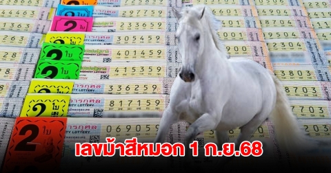 มาแล้ว เลขม้าสีหมอก งวดวันที่ 1 กันยายน 2568