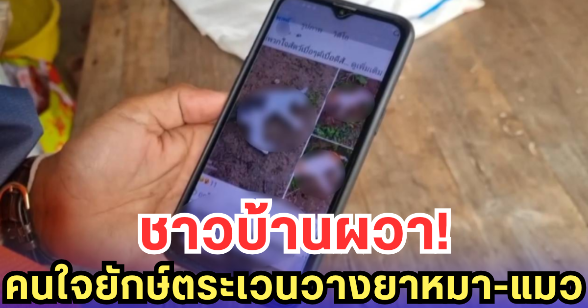 ชาวบ้านผวา! คนใจยักษ์ตระเวนวางยาหมา-แมว