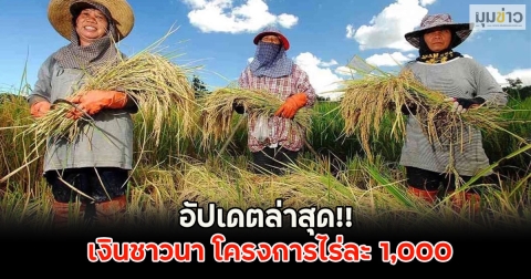 อัปเดตล่าสุด!! เงินชาวนา โครงการไร่ละ 1,000