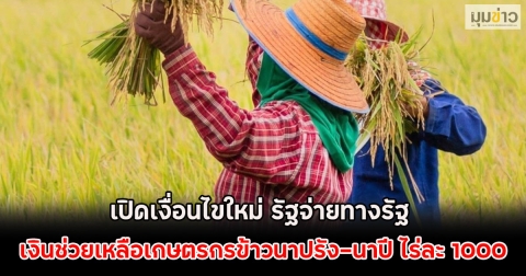 เปิดเงื่อนไขใหม่ รัฐจ่ายทางรัฐ เงินช่วยเหลือเกษตรกรข้าวนาปรัง-นาปี ไร่ละ 1000