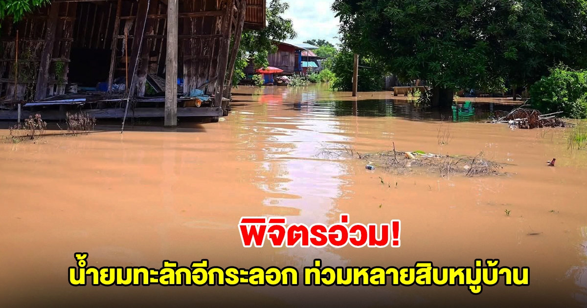 พิจิตรอ่วม! น้ำยมทะลักอีกระลอก หลายสิบหมู่บ้านจมบาดาล