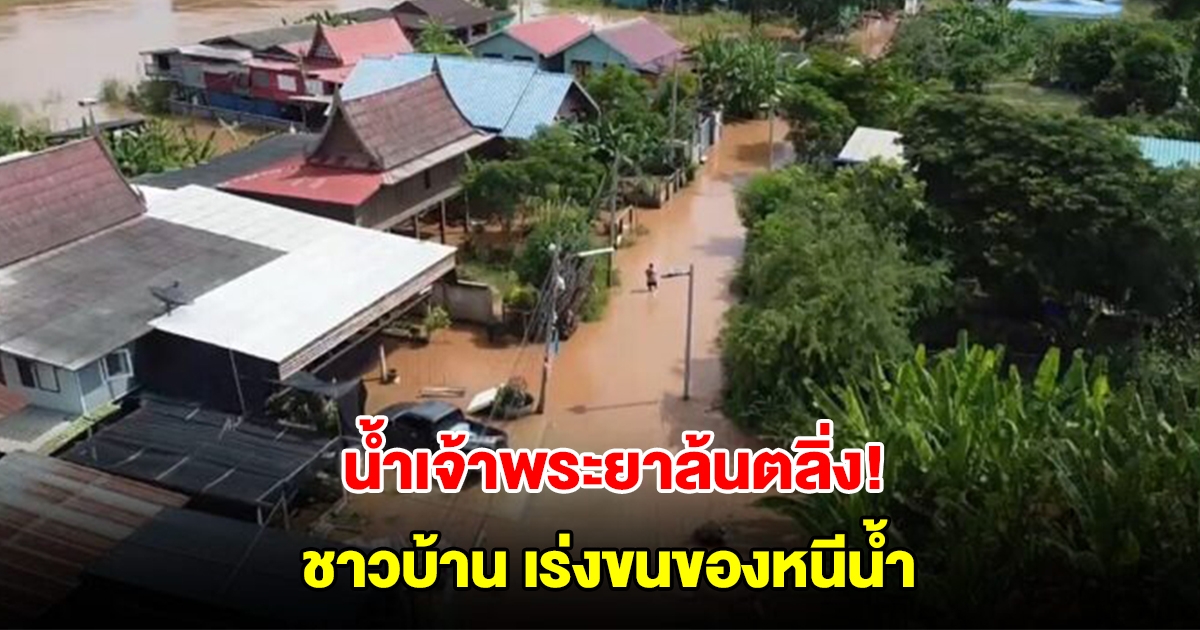 น้ำเจ้าพระยาล้นตลิ่ง! ชาวบ้านเร่งขนย้ายรถ กางเต็นท์ริมถนนหนีน้ำ
