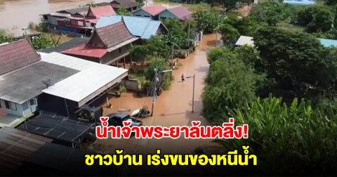 น้ำเจ้าพระยาล้นตลิ่ง! ชาวบ้านเร่งขนย้ายรถ กางเต็นท์ริมถนนหนีน้ำ