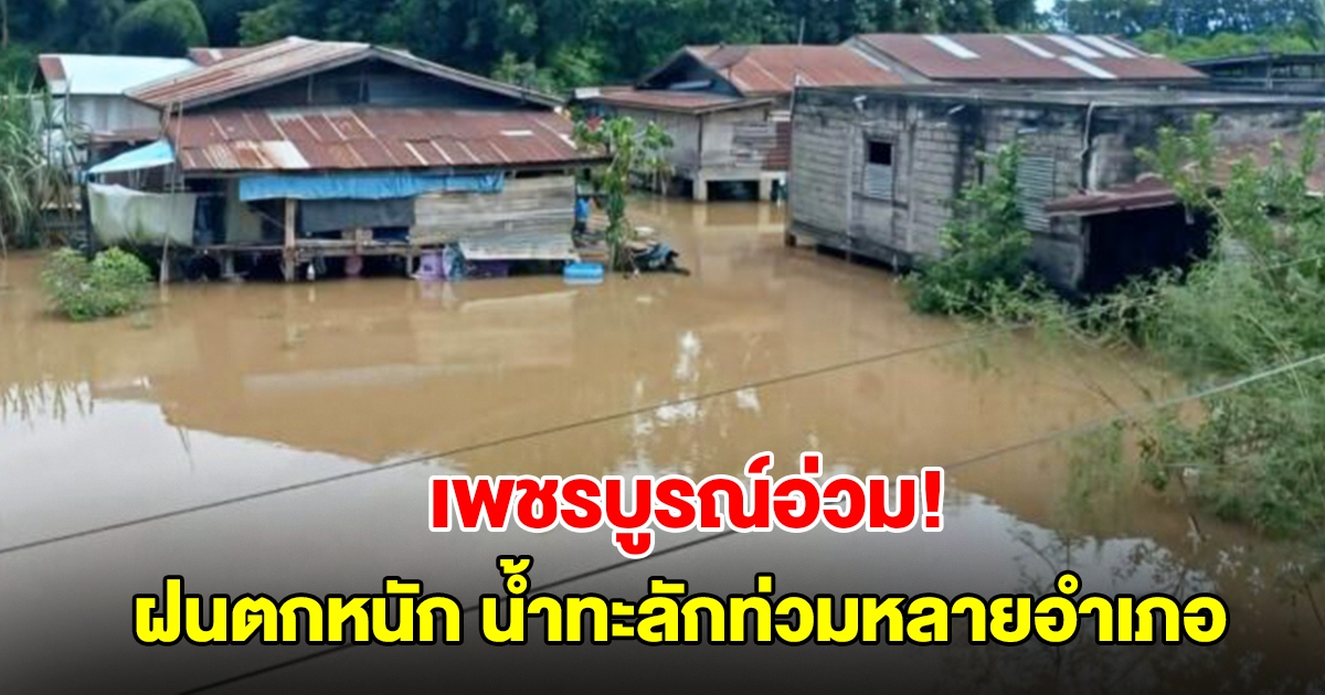 เพชรบูรณ์อ่วม! ฝนตกหนัก น้ำทะลักท่วมหลายอำเภอ สั่งปิดโรงเรียนชั่วคราว ชาวบ้านรีบขนของขึ้นที่สูง