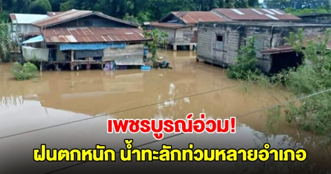 เพชรบูรณ์อ่วม! ฝนตกหนัก น้ำทะลักท่วมหลายอำเภอ สั่งปิดโรงเรียนชั่วคราว ชาวบ้านรีบขนของขึ้นที่สูง