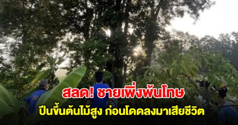ชายเพิ่งพ้นโทษได้ 5 วัน ปีนขึ้นต้นไม้สูง ก่อนโดดลงมาเสียชีวิต
