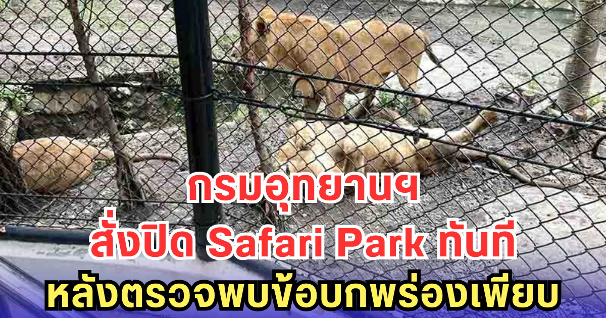 กรมอุทยานฯ สั่งปิด Safari Park ทันที หลังตรวจพบข้อบกพร่องเพียบ