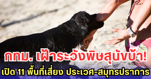 กทม. เฝ้าระวังพิษสุนัขบ้า! เปิด 11 พื้นที่เสี่ยง ประเวศ-สมุทรปราการ