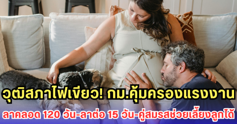 วุฒิสภาไฟเขียว! กม.คุ้มครองแรงงานใหม่ ลาคลอด 120 วัน-ลาต่อ 15 วัน-คู่สมรสมีสิทธิช่วยเลี้ยงลูก