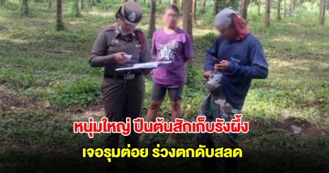 หนุ่มใหญ่วัย 66 ปี ปีนต้นสักเก็บรังผึ้ง เจอรุมต่อย ร่วงตกดับสลด