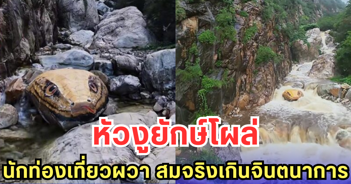 หัวงูยักษ์โผล่ นักท่องเที่ยวผวา สมจริงเกินจินตนาการ (ต่างประเทศ)