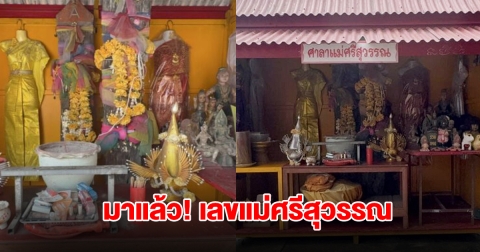 ส่องเลขต้นตะเคียน แม่ศรีสุวรรณ หลังชาวบ้านได้โชคก้อนโต