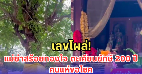 เลขโผล่! แม่ย่าสร้อยทองใจ ตะเคียนยักษ์ 200 ปี คนแห่ขอโชค