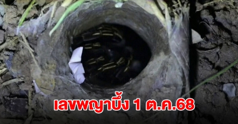 มาแล้ว เลขพญาบึ้ง คีบออกมา 3 ตัวเน้นๆ งวดวันที่ 1 ต.ค.68