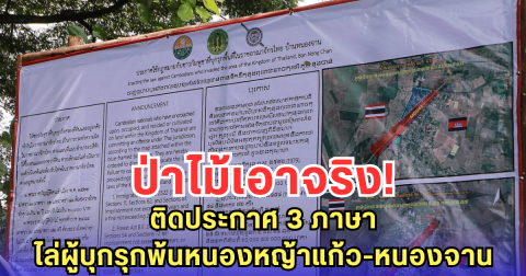 ป่าไม้เอาจริง! ติดประกาศ 3 ภาษา ไล่ผู้บุกรุกพ้นหนองหญ้าแก้ว-หนองจาน ภายใน 15 วัน