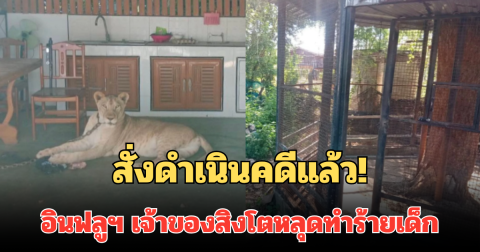 สั่งดำเนินคดีแล้ว! อินฟลูฯ เจ้าของสิงโตหลุดทำร้ายเด็ก