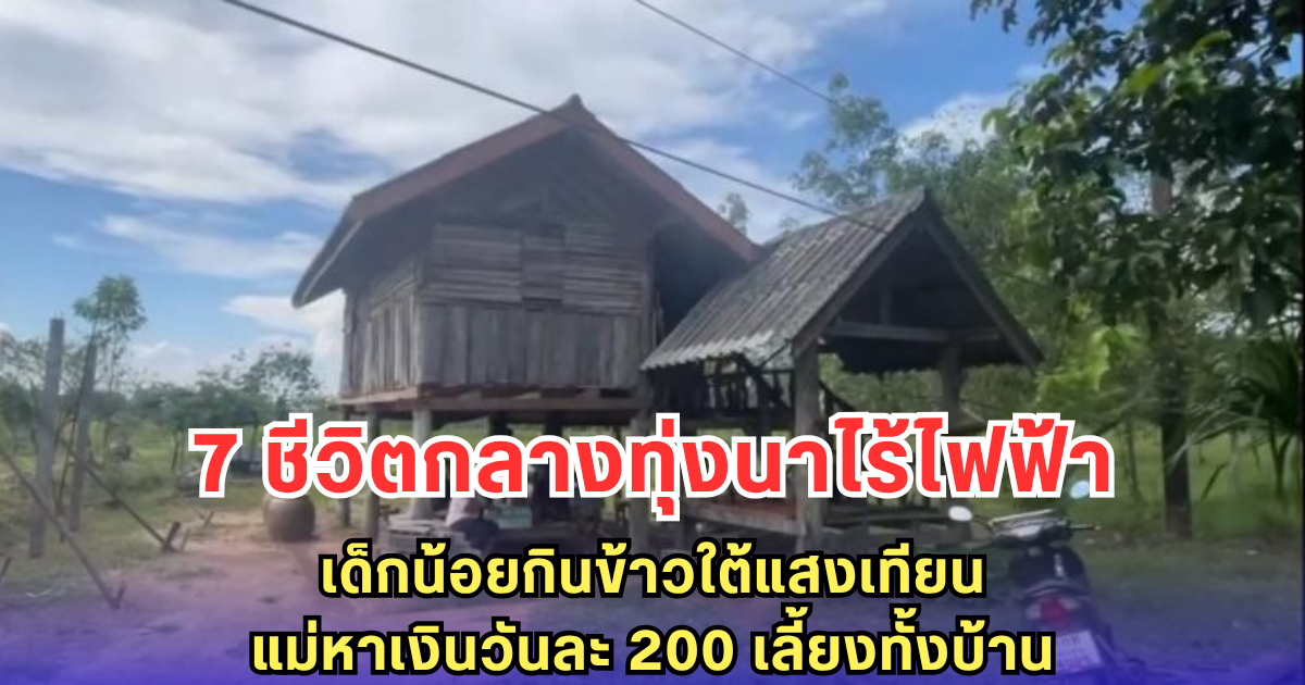 7 ชีวิตกลางทุ่งนาไร้ไฟฟ้า เด็กน้อยกินข้าวใต้แสงเทียน แม่หาเงินวันละ 200 เลี้ยงทั้งบ้าน-วอนช่วยเหลือด่วน