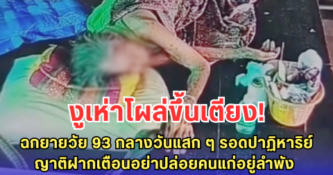 งูเห่าโผล่ขึ้นเตียง ฉกยายวัย 93 กลางวันแสก ๆ รอดปาฏิหาริย์ ญาติฝากเตือนอย่าปล่อยคนแก่อยู่ลำพัง