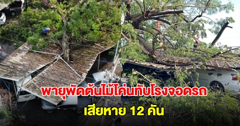 พายุพัดกระหน่ำอยุธยา ต้นจามจุรีอายุกว่า 50 ปีโค่นทับโรงจอดรถ เสียหาย 12 คัน มีเด็ก 8 ขวบอยู่ในรถ รอดหวุดหวิด