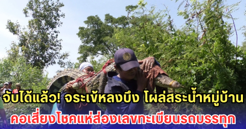 จับได้แล้ว! จระเข้หลงบึง โผล่สระน้ำหมู่บ้าน คอเสี่ยงโชคแห่ส่องเลขทะเบียนรถบรรทุก