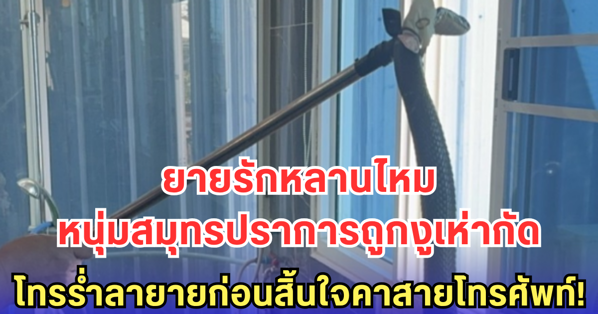 หนุ่มสมุทรปราการถูกงูเห่ากัด โทรร่ำลายายก่อนสิ้นใจคาสายโทรศัพท์!
