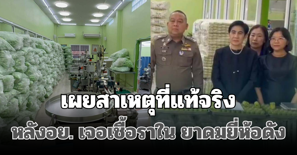 รู้แล้ว! เผยสาเหตุที่แท้จริง หลังอย. เจอเชื้อราใน ยาดมยี่ห้อดัง