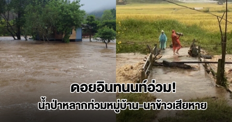 ด่วน! ฝนตกหนัก ดอยอินทนนท์ น้ำป่าหลากท่วมหมู่บ้าน นาข้าวเสียหาย