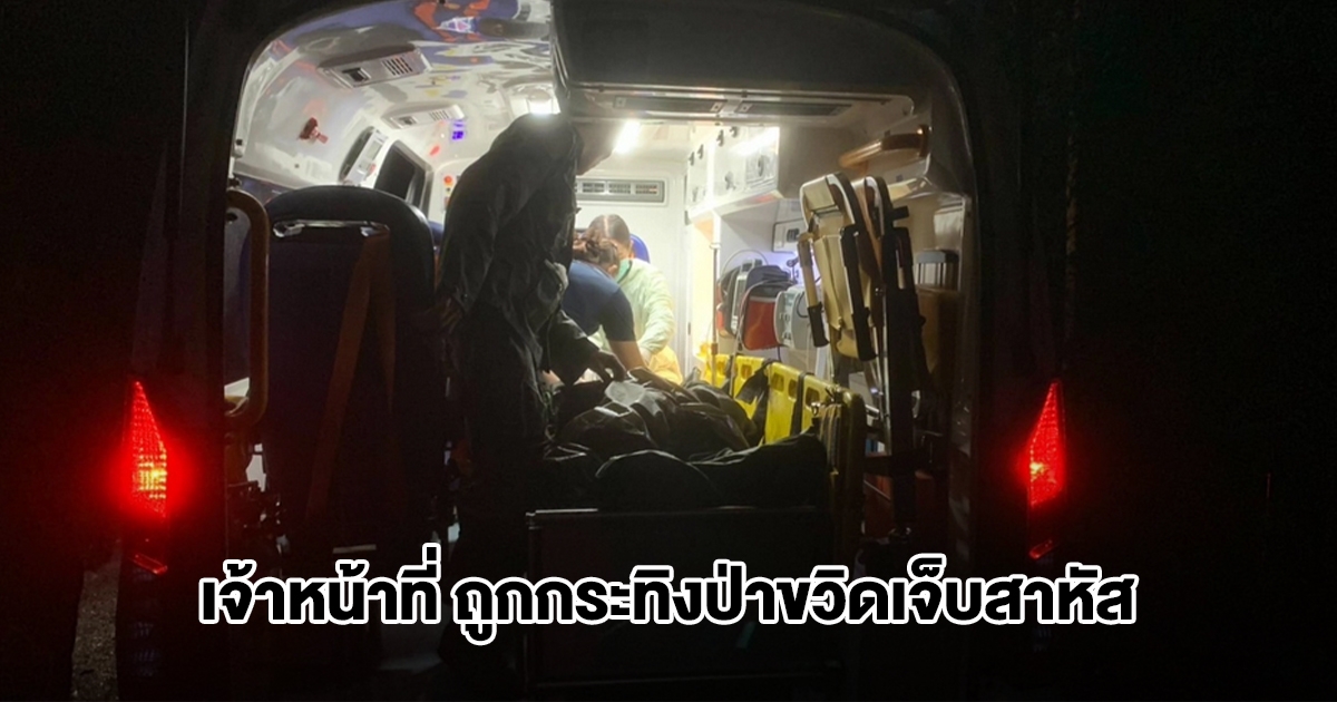 เจ้าหน้าที่พิทักษ์ป่าภูเขียว ถูกกระทิงป่าขวิดเจ็บสาหัส ขณะลาดตระเวนกลางป่าลึก