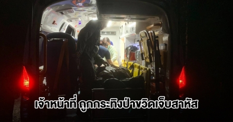 เจ้าหน้าที่พิทักษ์ป่าภูเขียว ถูกกระทิงป่าขวิดเจ็บสาหัส ขณะลาดตระเวนกลางป่าลึก