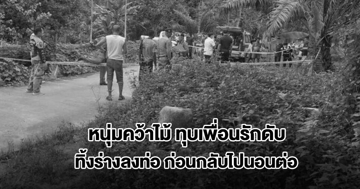 หนุ่มทะเลาะเพื่อนรัก คว้าไม้ทุบดับคามือ ทิ้งร่างลงท่อระบายน้ำ ก่อนกลับไปนอนต่อ