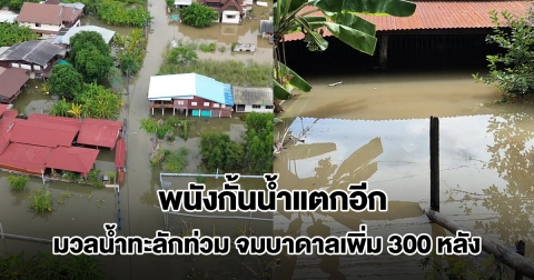 ชัยนาทอ่วม! พนังกั้นน้ำแตกอีก มวลน้ำทะลักท่วม จมบาดาลเพิ่ม 300 หลัง เสียหายรวม 5.5 พันครัวเรือน