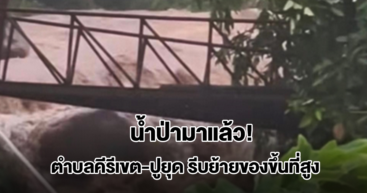 น้ำป่ามาแล้ว ไหลหลาก ตำบลคีรีเขต-ปูยุด จ.ยะลา เสี่ยงน้ำท่วมฉับพลัน รีบย้ายของขึ้นที่สูง สั่งเฝ้าระวัง 24 ชม.
