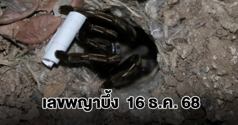 มาแล้ว เลขพญาบึ้ง งวดวันที่ 16 ธ.ค. 68
