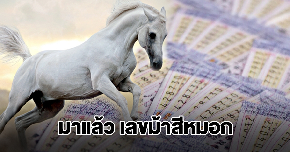 มาแล้ว เลขม้าสีหมอก งวดวันที่ 2 ม.ค. 68