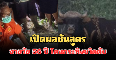เปิดผลชันสูตร ชายวัย 56 ปี โดนกระทิงขวิดดับกลางป่า วังน้ำเขียว