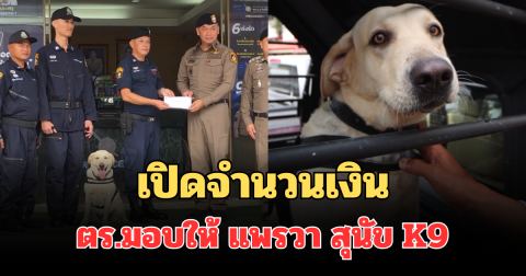 เยอะจริง! เปิดจำนวนเงินตร.มอบให้ แพรวา สุนัข K9 หลังจับคนร้ายได้