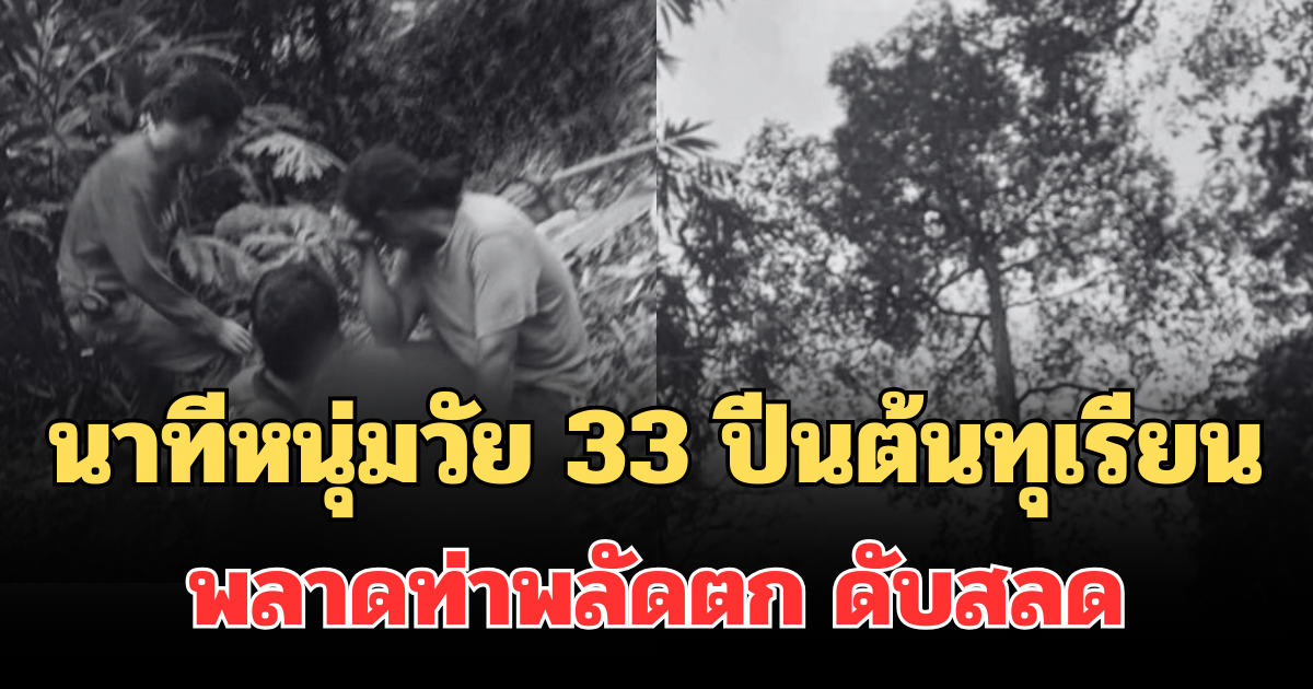 รู้แล้วยิ่งเศร้า! เล่านาทีหนุ่มวัย 33 ปีนต้นทุเรียนพลาดท่าพลัดตก คอหักดับสลด