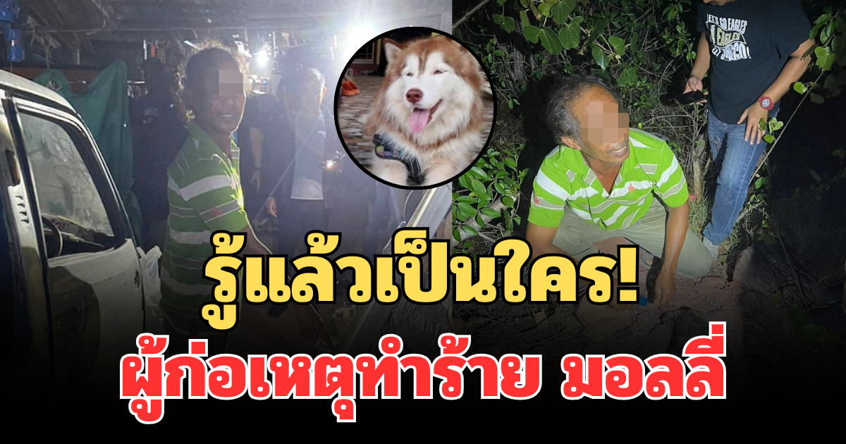 รู้แล้วเป็นใคร! ผู้ก่อเหตุทำร้าย สุนัข มอลลี่ เสียชีวิต