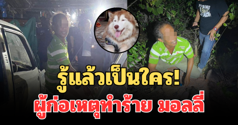 รู้แล้วเป็นใคร! ผู้ก่อเหตุทำร้าย สุนัข มอลลี่ เสียชีวิต