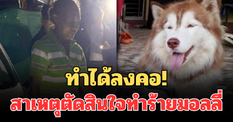 ทำได้ลงคอ! เผยสาเหตุตัดสินใจ ทำร้ายสุนัข มอลลี่