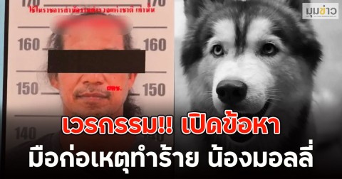 เวรกรรม!! เปิดข้อหา มือก่อเหตุทำร้าย น้องมอลลี่